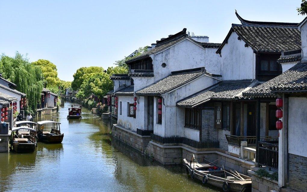 银河中动物逃生